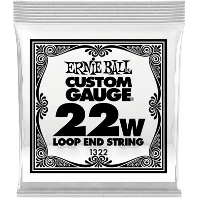 Ernie Ball Stainless Steel 22