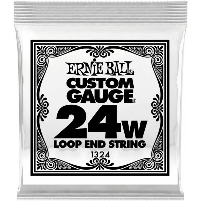 Ernie Ball Stainless Steel 24