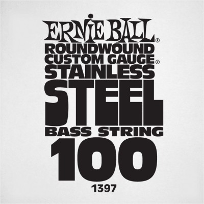 Ernie Ball Slinky Stainless Steel 100