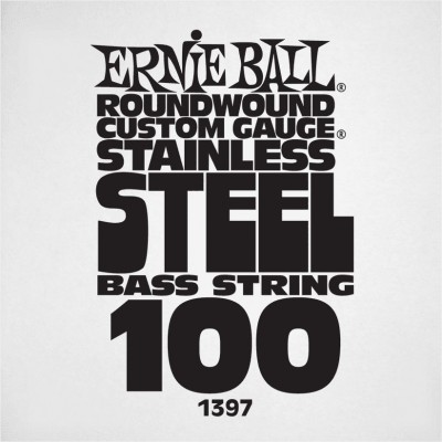 ERNIE BALL SLINKY STAINLESS STEEL 100