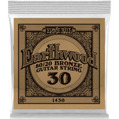 Ernie Ball Earthwood 80/20 Bronze 30
