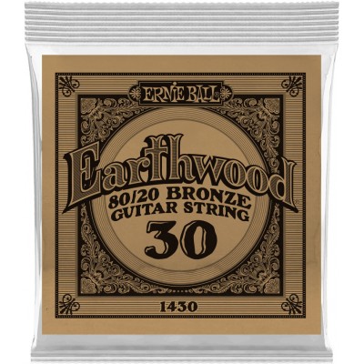 .030 EARTHWOOD 80/20 BRONZE ACOUSTIC GUITAR STRINGS