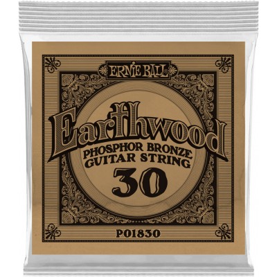 Earthwood Phosphore Bronze 30