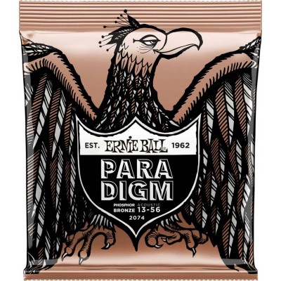 Ernie Ball Paradigm Medium Phosphore Bronze