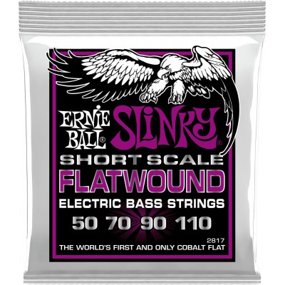 ERNIE BALL 2817 FILET PLAT POWER SLINKY FLATWOUND SHORT SCALE 55-110