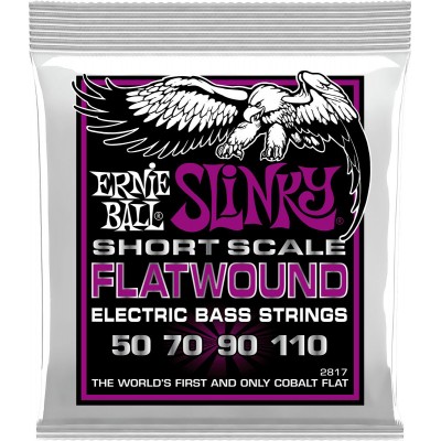 ERNIE BALL 2817 Filet Plat Power Slinky Flatwound Short Scale 55-110