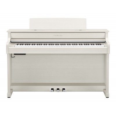 CLP-845 WHITE BIRCH - BLAGER