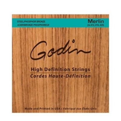 GODIN STRINGS SET FOR SEAGULL MERLIN