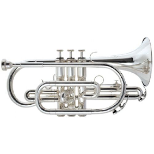 ROY BENSON CORNET SIb D