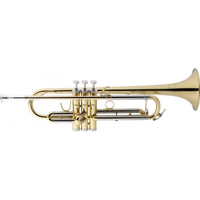 Bellecour Bb Lacquered