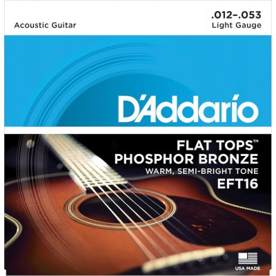 EFT16 FLAT TOPS PHOSPHOR BRONZE ACOUSTIC GUITAR STRINGS LIGHT 12-53
