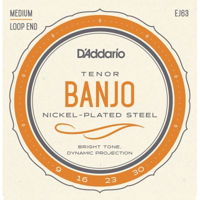 D\'addario Banjo Tenor J63