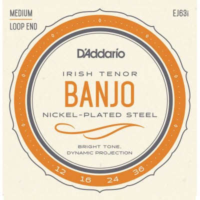 D\'addario And Co Ej63i Cordes Pour Banjo Light Tenor Irish 12-36