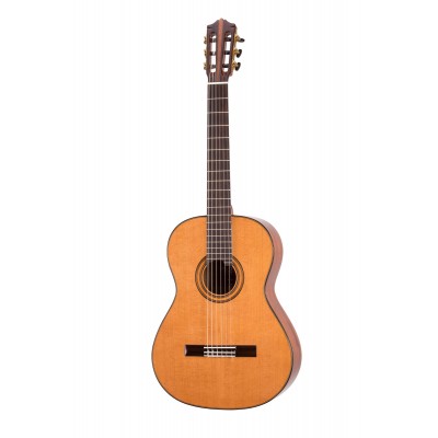 MARTINEZ GUITARS MCG 118C - RN HOUSSE STANDARD