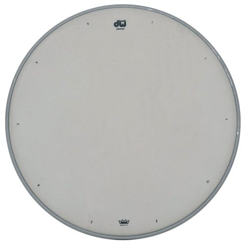 DW DRUM WORKSHOP Peau Caisse Claire Blanc Sablée 14" CW-14