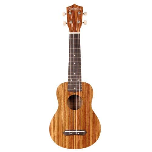 COCONUT S20 - SOPRANO