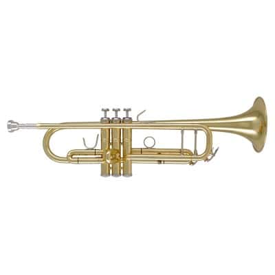 Résultat de recherche d'images pour "trompette"