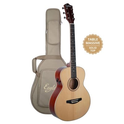 Acoustic Electric travel guitars