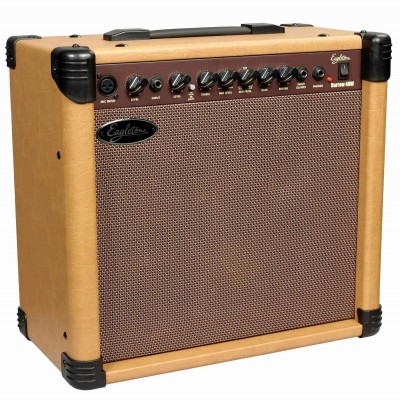 Acoustic electric amps