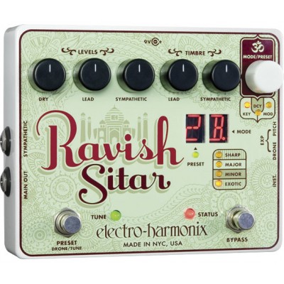 RAVISH SITAR