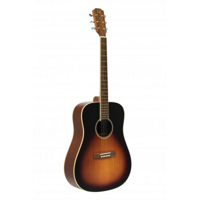 Jn Guitars Ezr-d Dread Ac.gt-sld Cedar Sunburst