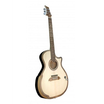 E/A GUIT.GRD AUDIT.TRIPLE PLAY