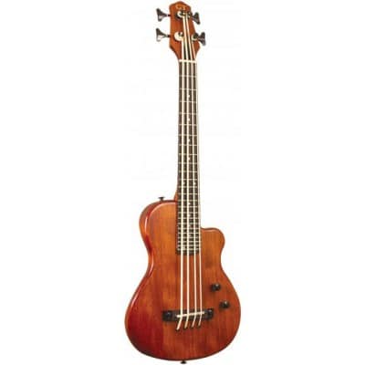 ME-BASS ELECTRIC MICRO BASS 23