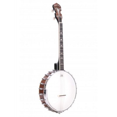 Gold Tone It-250 Irish Tenor Banjo+case