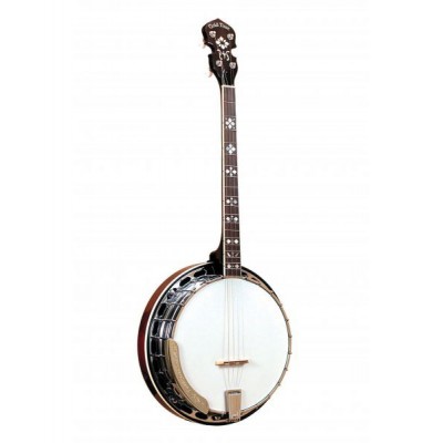 Gold Tone Ts-250 Tenor Banjo 4st 14 Reso+case