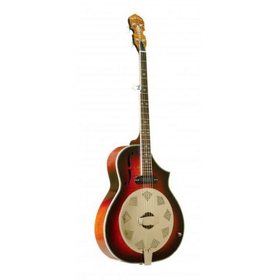 BANJO DELUXE  RSONATEUR AVEC CAISSE EN RABLE PAN COUP ET MICRO HOUSSE INCLUSE