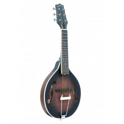 GUITARE MANDOLINE AVEC CORPS DE TYPE A ET HOUSSE