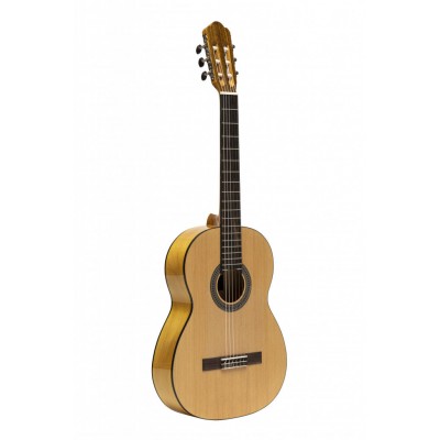 SCL70-flamenca