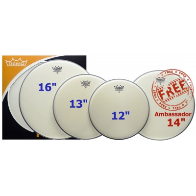 REMO PP-0112-BA - PROPACK AMBASSADOR COATEDS 12/13/16 + 14