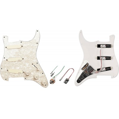 EMG DG20 PRO SERIES STRAT* PICKGUARD COLLECTION
