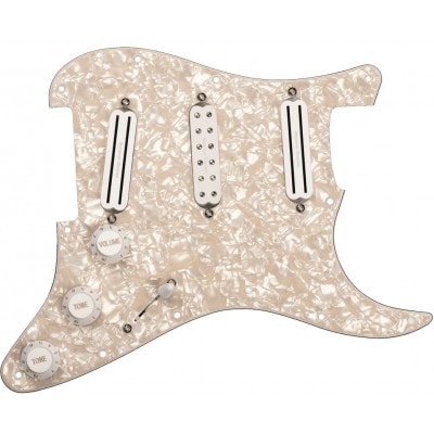 PRE-CABLE PLATES DAVE MURRAY D. MURRAY PICKGUARD