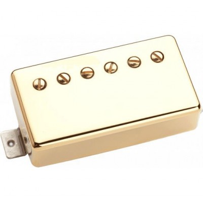 HIGH VOLTAGE MANCHE GOLD
