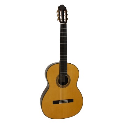 Esteve 1gr11 Spruce
