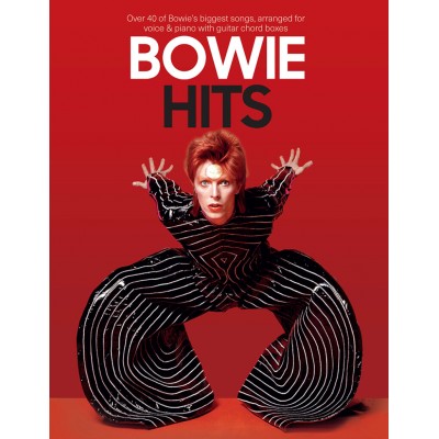 DAVID BOWIE HITS - PVG