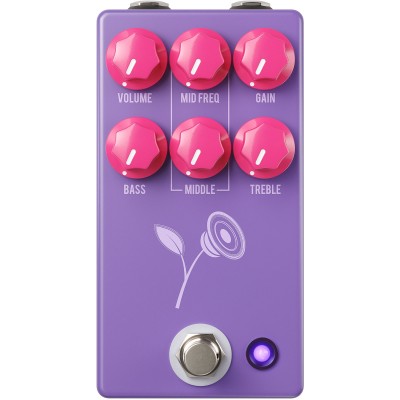 VIOLET DISTORSION LARI BASILIO - PURPLE