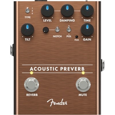 Fender Acoustic Preamp/reverb