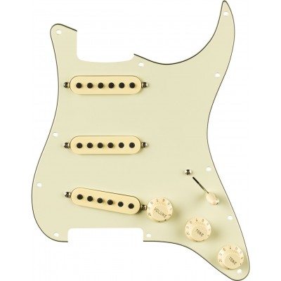 Pre-wired Strat Pickguard, Eric  Sign. Mint Green 11 Hole Pg