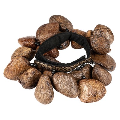 FR1P - FOOT RATTLE PANGI SEEDS