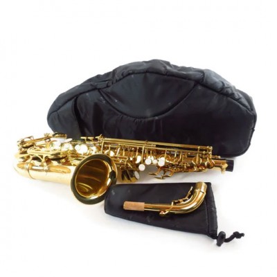 Sleeve Sax Alto Noir (AC-16 As)