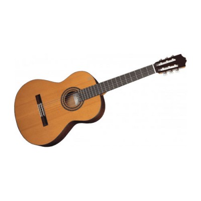 30 Cedar