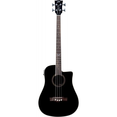 Nxt B100Ce Dreadnought See Through Black