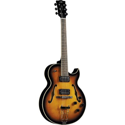 Type Hollowbody Jazz single cut Sunburst