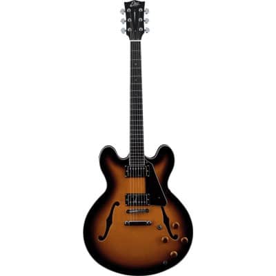 DEMI-CAISSE TRIBUTE HOLLOWBODY SUNBURST