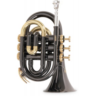 ROY BENSON PT101K - BB BLACK