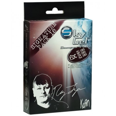 SKY MUSIC SG18RLWR - Signature Edition Ray Luzier Wine Red