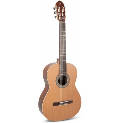 Europe 4/4 Cedar/Mahogany Highgloss